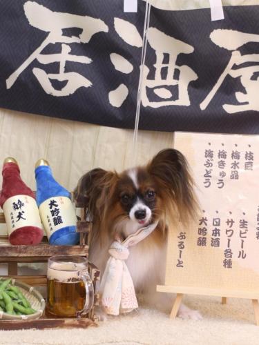 20240626ラナちゃん